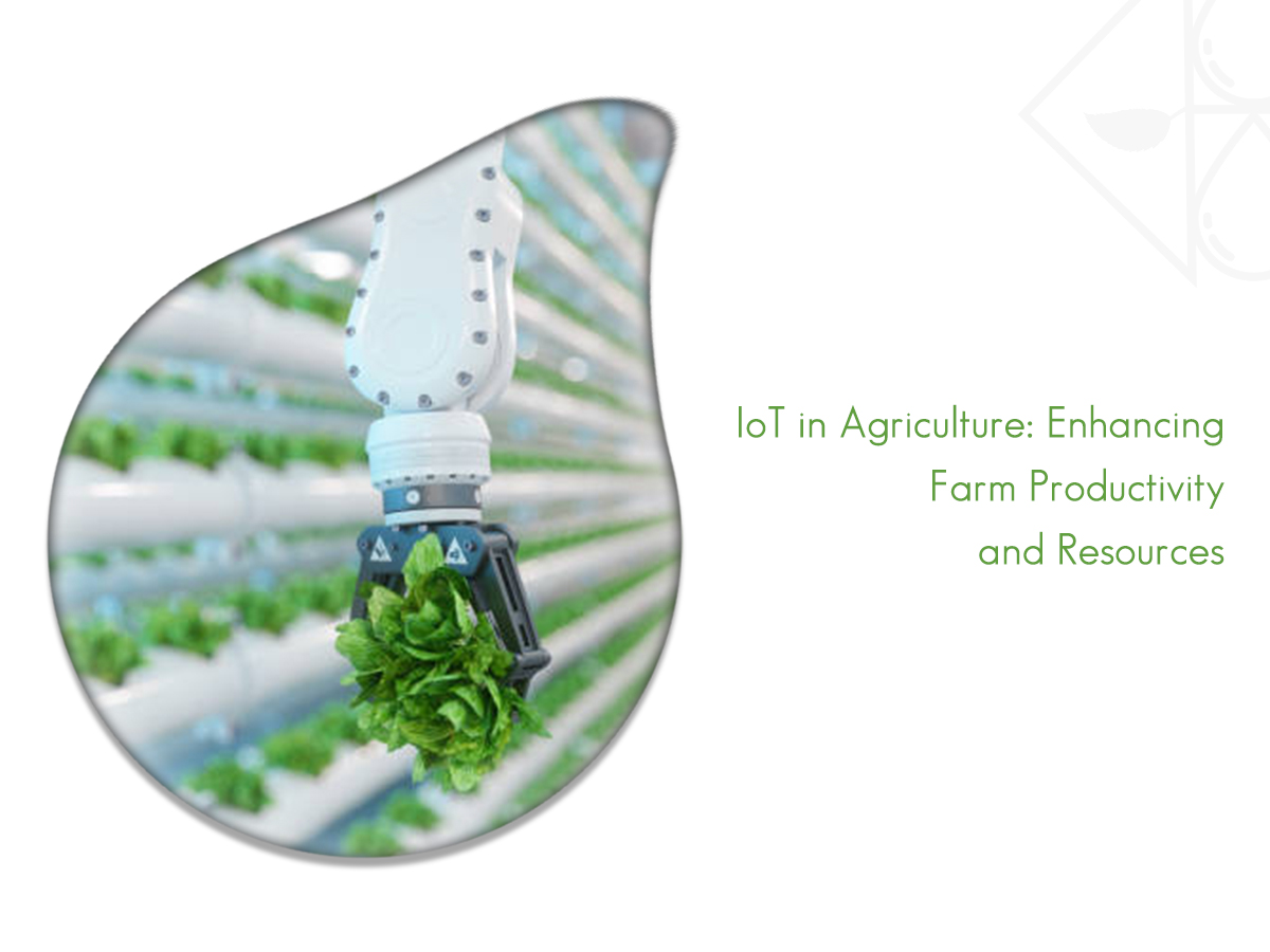 You are currently viewing (IoT) Internet of Things in Agriculture: Enhancing Farm Productivity And Resources